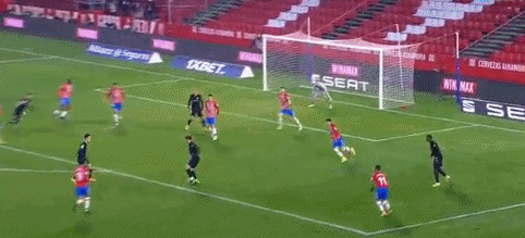 费迪南德：见到巴乔让我非常激动，那仿佛让我回到了童年时代